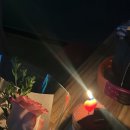 날라리노래연습장 이미지