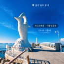 [싱글룸]12/25~27/X-MAS 크리스마스 얼음조각속 카누 드론쇼와 명선도 슬도등대 이미지