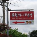 고창근농장 이미지