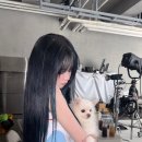QWER 쵸단 인스타 이미지