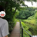 우진카랜드 이미지