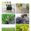 삼광농장 이미지