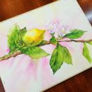 [백석]수채화&보타니컬 이미지