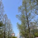 인천광역시 삼산월드체육관(수영 자유수영 월수금) | 인천 삼산월드체육관 수영장 토요일 자유수영 후기
