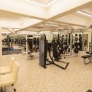 프롬 베이스먼트 이미지