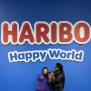 피커스 제주 하리보월드 입장료 가격 제주 수유실 있는 카페 <b>피커스</b>