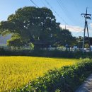 석화리경로당 이미지