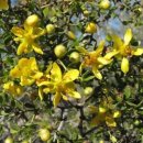 (주)크레오 이미지