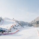 엘리시안 강촌 스키장 이미지