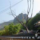 (주)대전사 이미지