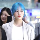 푸르댕댕 이미지