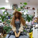 인형나라 이미지