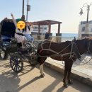 [저녁] 이집트전통벨리댄스 이미지