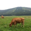 물영아리오름 이미지