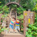 지리산유아숲체험원 네이버블로그