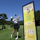 베네스트 이미지