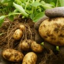 새싹나라어린이집 이미지