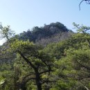 돌산도서관 이미지