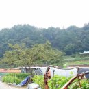 유구농장 이미지