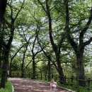 우치공원 | 광주 우치공원 동물원 솔직후기｜날씨 좋은 날 아이랑 힐링 나들이 코스