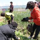 태평동성당 이미지