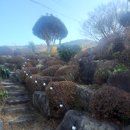 여수 보라네 펜션 이미지