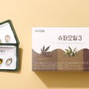 에스투에이치(S2H)