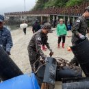 해군2함대사령부(282전탐감시대) | 민·군 상생을 위한 해양정화활동 실시