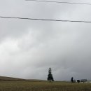 파랑새휴게소 | 일본 훗카이도 삿포로 11월 비에이 버스투어 후기 (2일차)