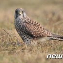 전라남도야생동물구조관리센터 이미지