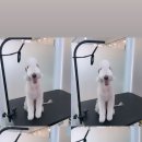 다녀오개 이미지