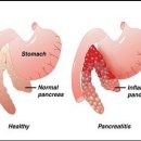 명지오션시티동물병원 이미지