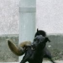 모성애 이미지
