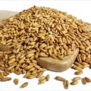 곡물이네 이미지
