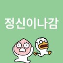 헤이독청주 | 에이티즈(ATEEZ) 2025 WORLD TOUR [IN YOUR FANTASY] 250705 콘서트 후기