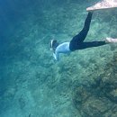 뮤소프트 이미지