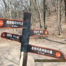 대부해솔길 6코스 이미지