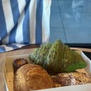 King뽑기 | 호주 / 멜버른 필립아일랜드 펭귄퍼레이드 펭귄투어 펭귄퇴근길 1열 후기