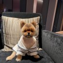 그레이튼호텔 이미지