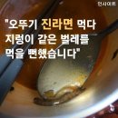 "오뚜기 진라면 먹다 지렁이 같은 벌레를 먹을 뻔 했습니다" 이미지