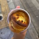 코스모스맨션 앞 | 11월 일기🚌