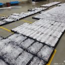 7월11일.8물때.29척 어선(병어,달고기,먹갈치,잡어) 이미지