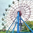 베스트올 청룡점 | 전주 아이랑 갈만한곳 🎡 전주동물원 + 드림랜드 (키제한 후기)