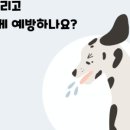 서울대동물종합병원 이미지