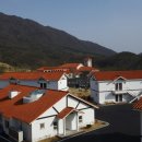 뉴스프링빌2 이미지