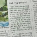 어제거기