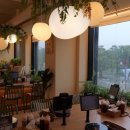 경기도 수원시 팔달구 신풍로23번길 | 행궁동 혼밥 샤브온당 수원행궁점 :: 비 오는 날 가성비 점심 1인 샤브샤브