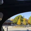 호텔세븐(7) | 더플라자호텔 세븐스퀘어 후기 / 런치 / 서울호텔 뷔페 /11월 후기