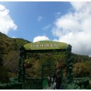 허브나라농원 이미지