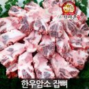 가야촌주